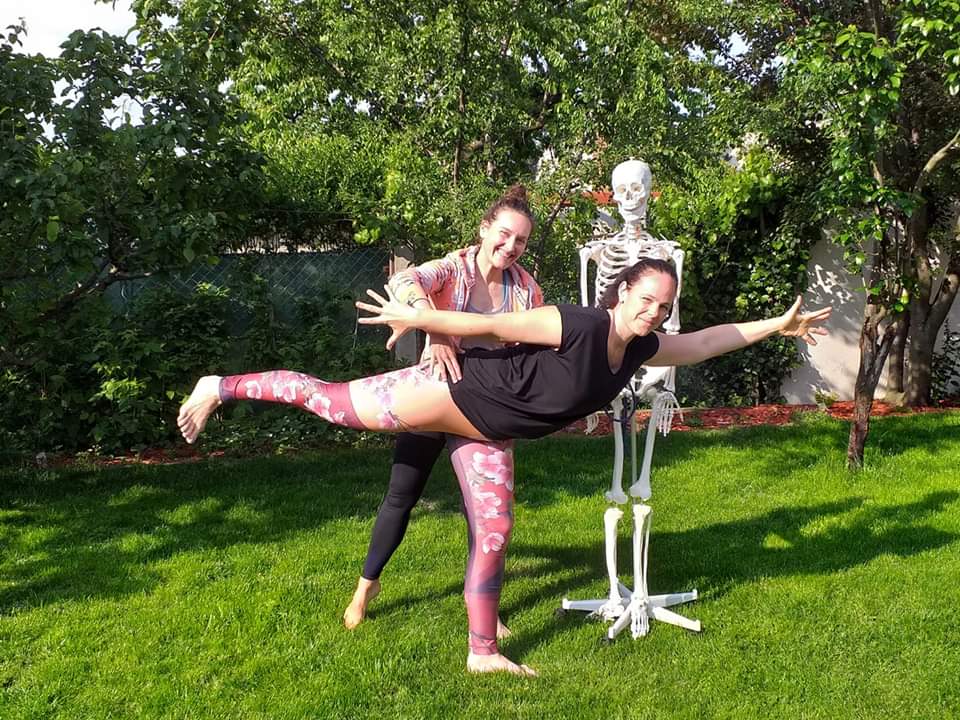 Lehrgang Anatomie & Körperwissen für Yogalehrer innen